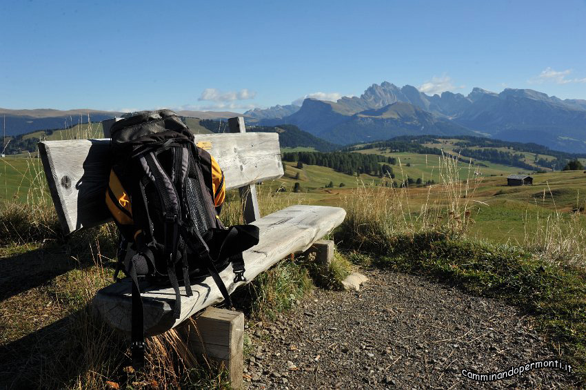 015 Alpe di Siusi - Sullo sfondo il Gruppo Odle.JPG